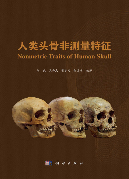 人类头骨非测量特征
