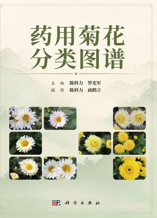 药用菊花分类图谱