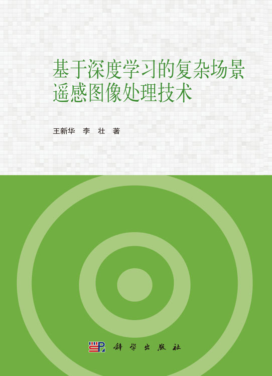 基于深度学习的复杂场景遥感图像处理技术