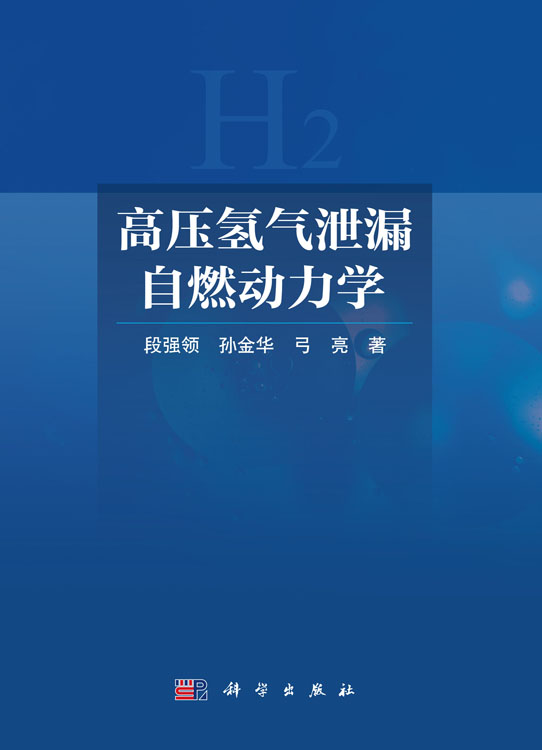 高压氢气泄漏自燃动力学