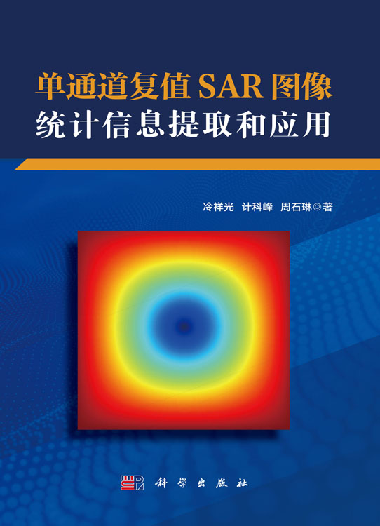 单通道复值SAR图像统计信息提取和应用