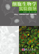 细胞生物学实验指导