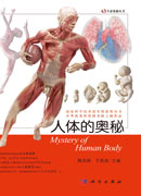 人体的奥秘