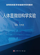 人体显微结构学实验