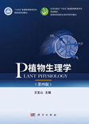 植物生理学（第四版）