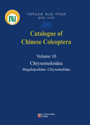 Catalogue of Chinese Coleoptera Volume 10 Chrysomeloidea Megalopodidae Chrysomelidae（中国甲虫名录 10 叶甲总科 距甲科 叶甲科）