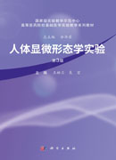 人体显微形态学实验（第3版）