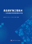 类自然矿物工程技术——层状硅酸盐基纳米酶及微反应系统
