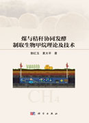 煤与秸秆协同发酵制取生物甲烷理论及技术