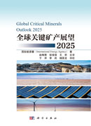 全球关键矿产展望2025