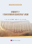 冲刷条件下干热河谷细沟形态演化特征与机制