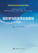组织学与胚胎学实验教程（第2版）