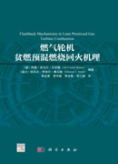 燃气轮机贫燃预混燃烧回火机理