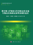 微生物-矿物相互作用驱动重金属生物浸出和固定原理及调控途径
