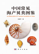 中国常见海产贝类图鉴