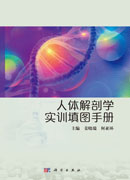 人体解剖学实训填图手册