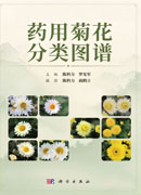 药用菊花分类图谱