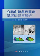 心脑血管急危重症基层处理与解析
