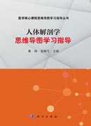 人体解剖学思维导图学习指导