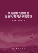 风电群聚动态效应激发次/超同步振荡原理