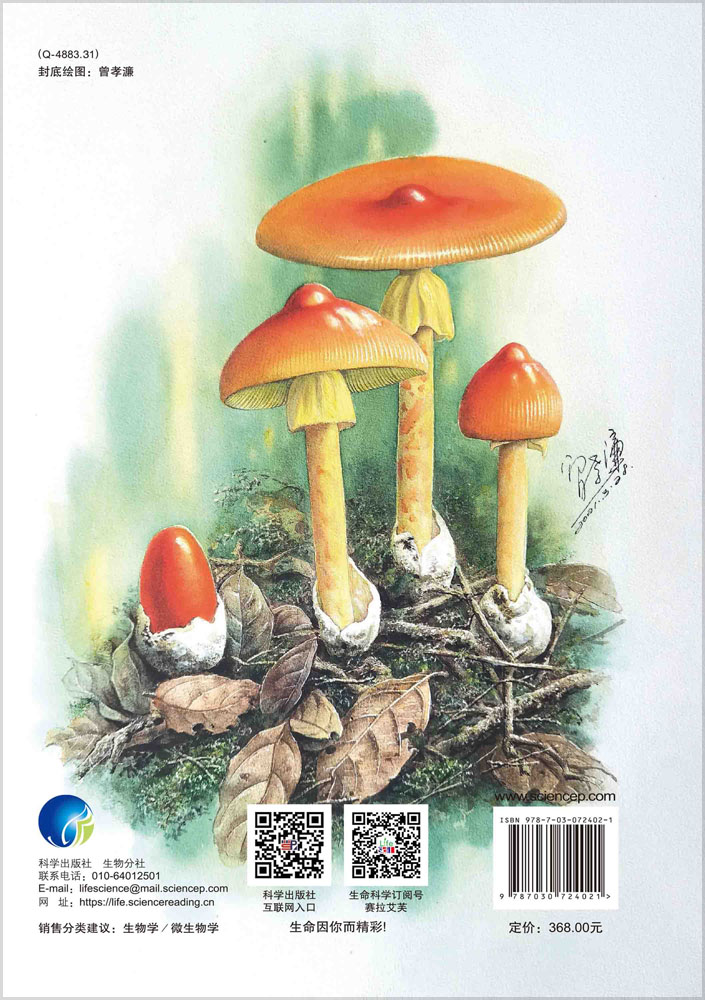 云南野生菌