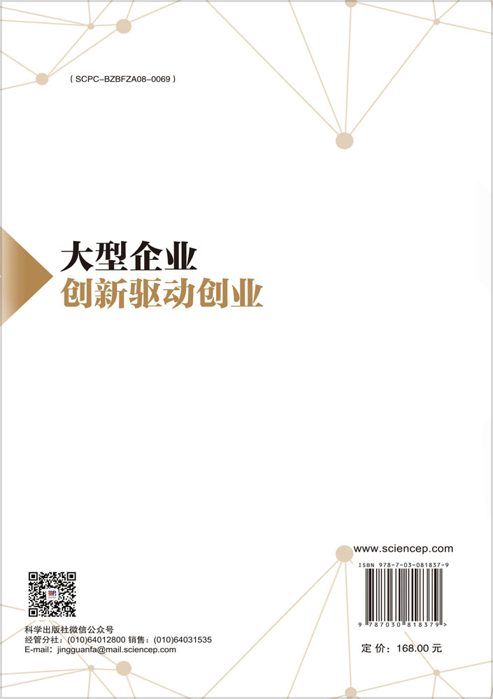 大型企业创新驱动创业