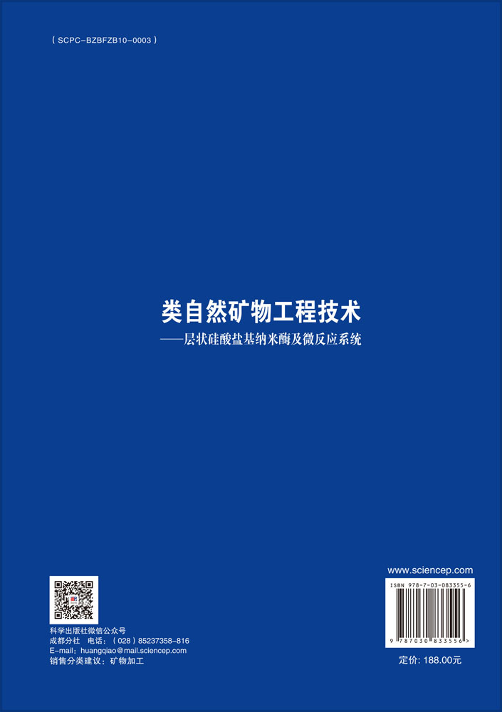 类自然矿物工程技术——层状硅酸盐基纳米酶及微反应系统