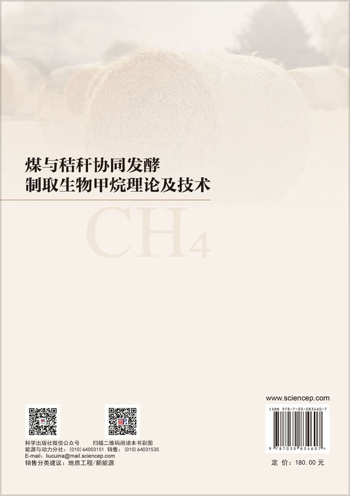 煤与秸秆协同发酵制取生物甲烷理论及技术