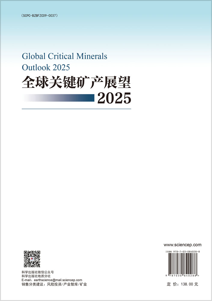 全球关键矿产展望2025