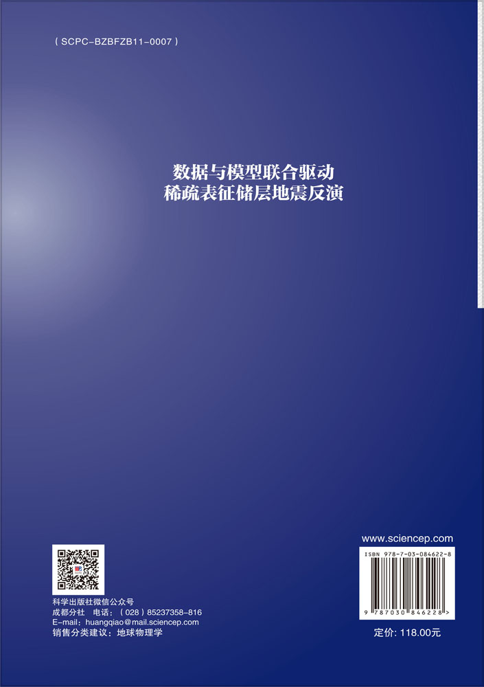 数据与模型联合驱动稀疏表征储层地震反演