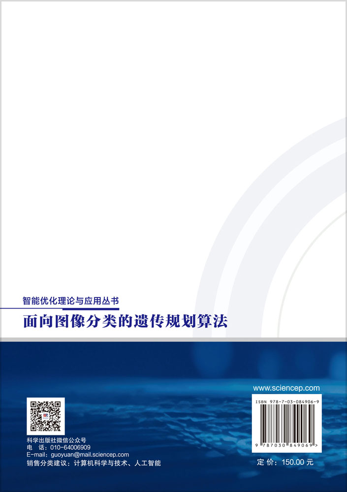 面向图像分类的遗传规划算法