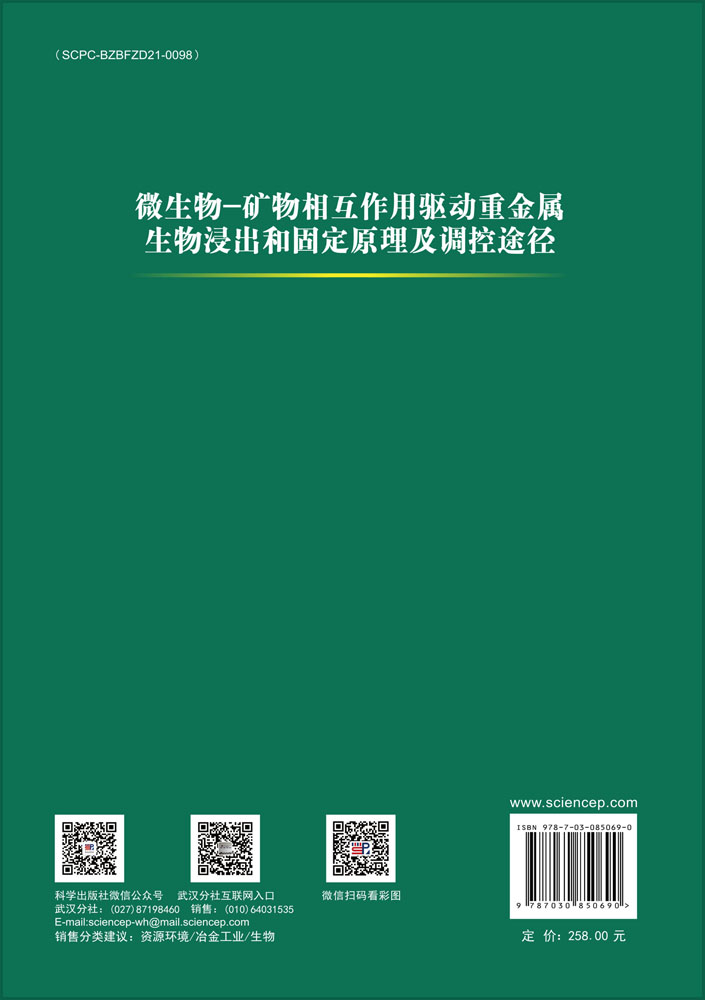 微生物-矿物相互作用驱动重金属生物浸出和固定原理及调控途径