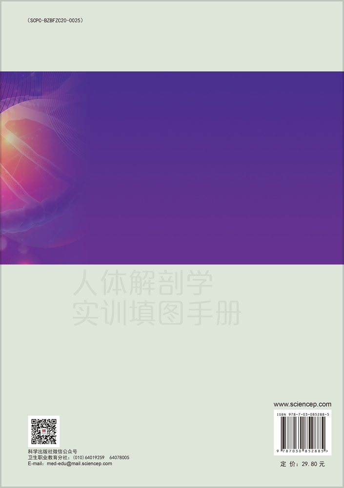 人体解剖学实训填图手册