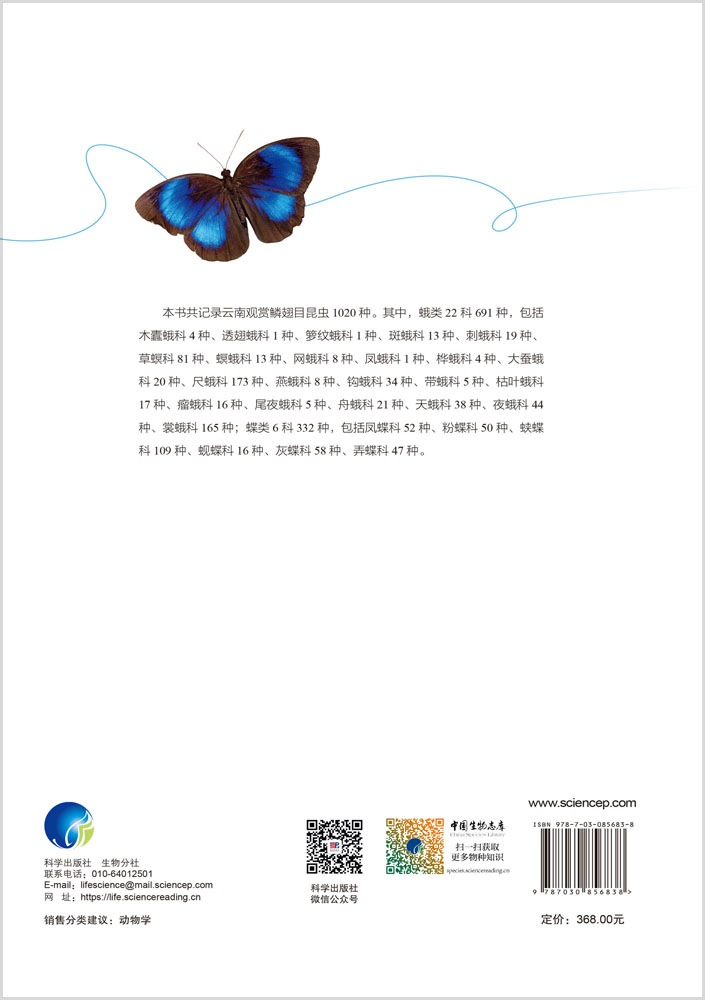 云南鳞翅目观赏昆虫图谱