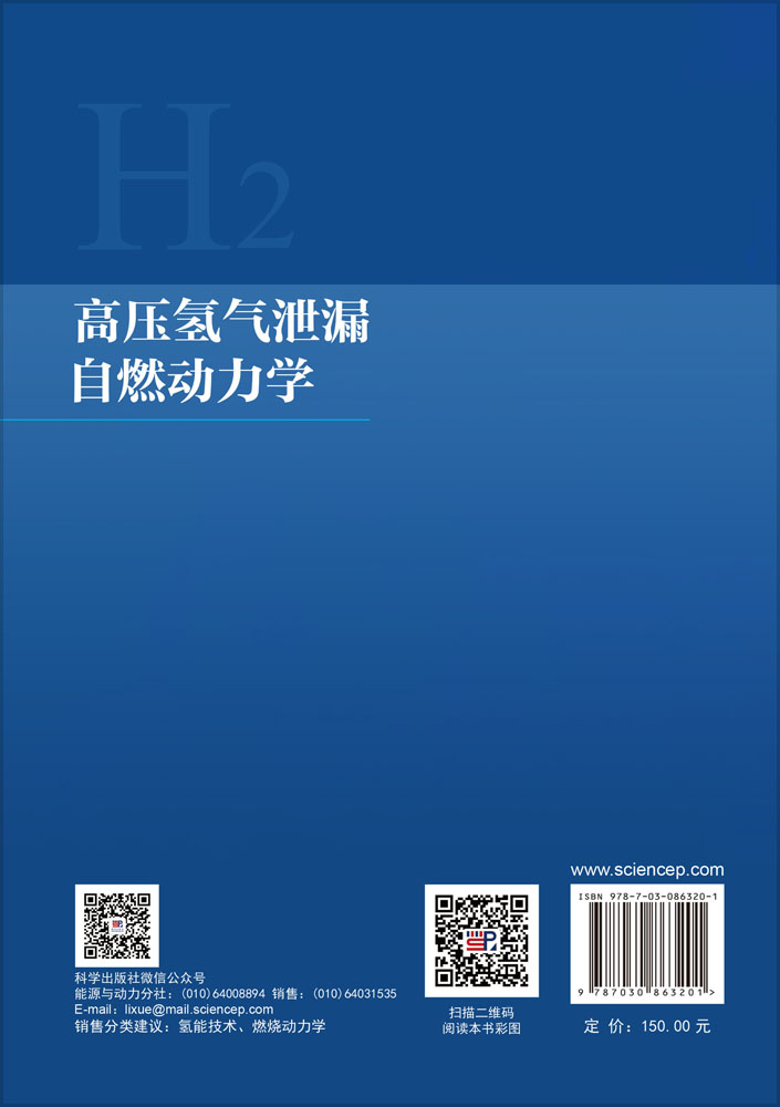 高压氢气泄漏自燃动力学