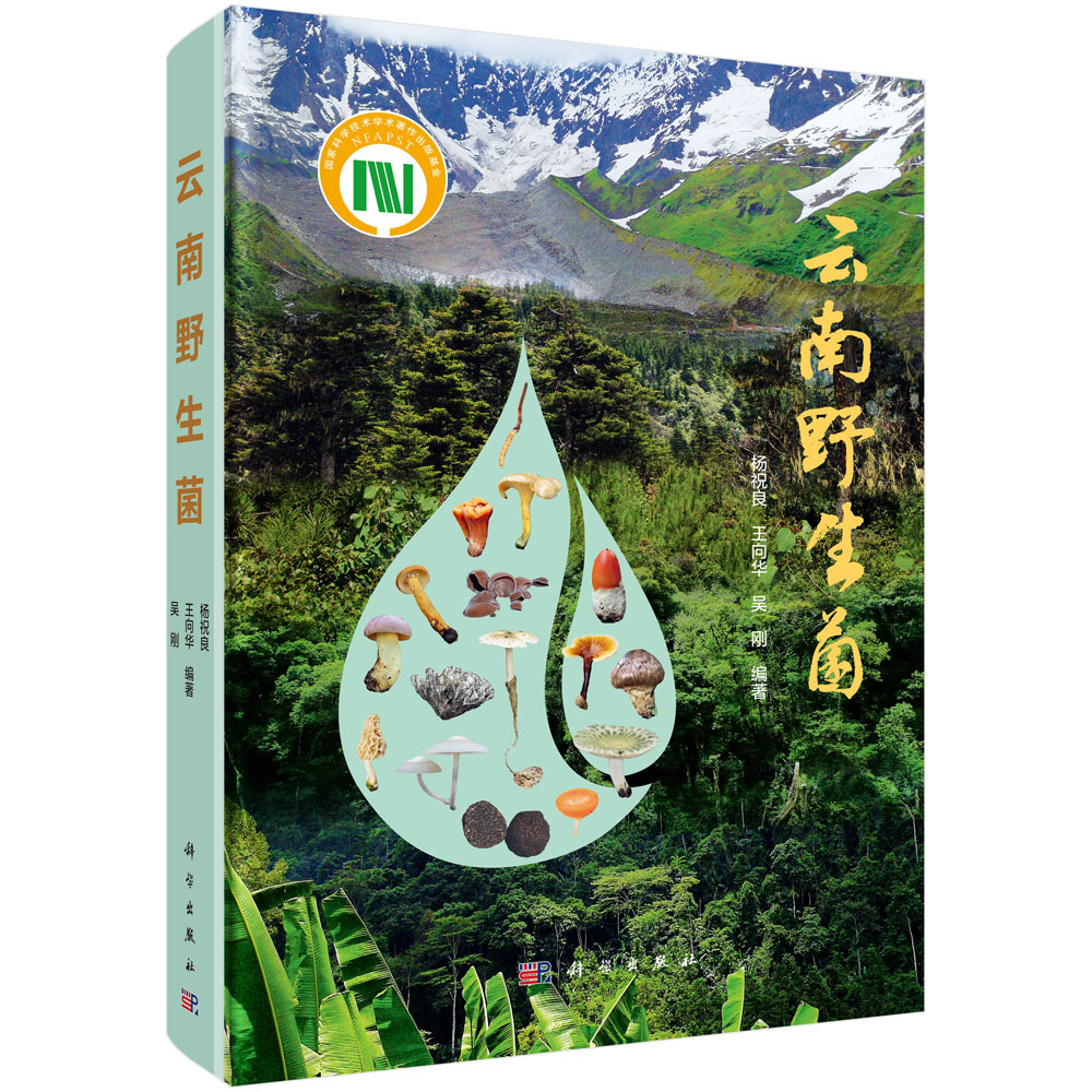 云南野生菌