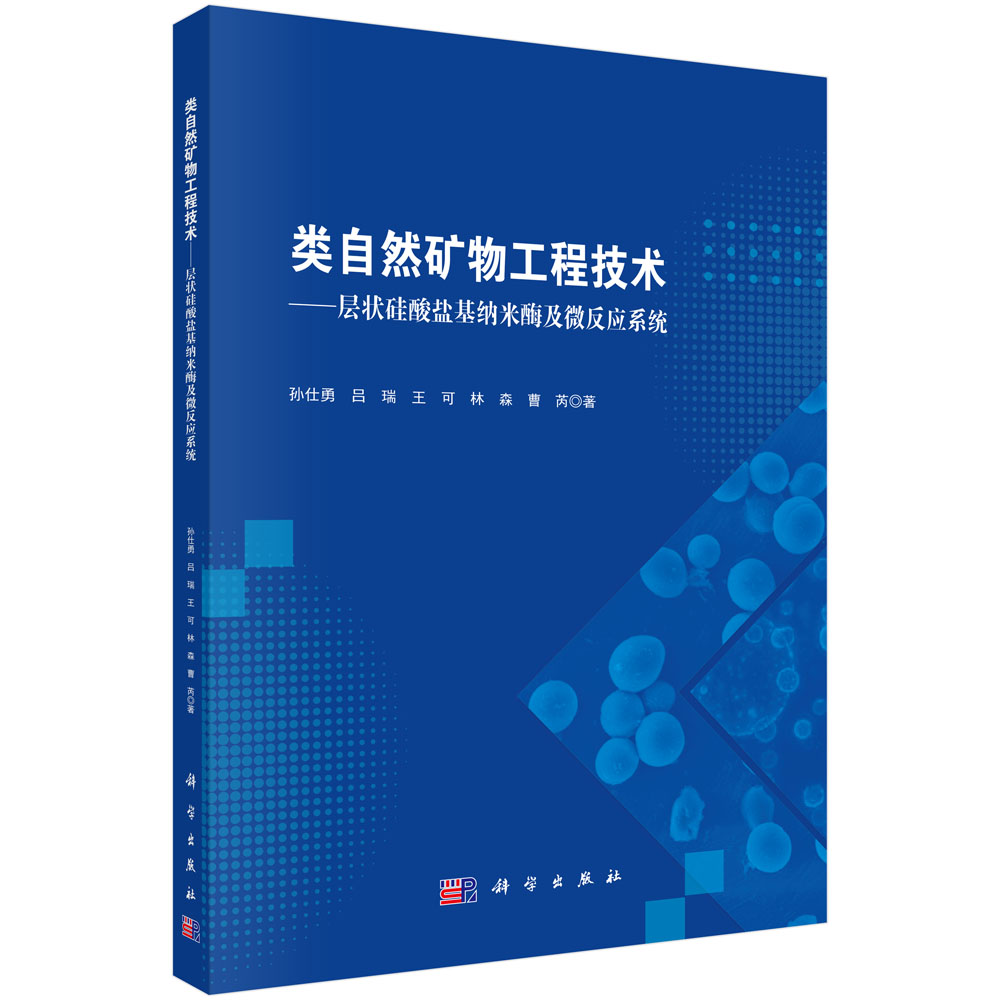 类自然矿物工程技术——层状硅酸盐基纳米酶及微反应系统
