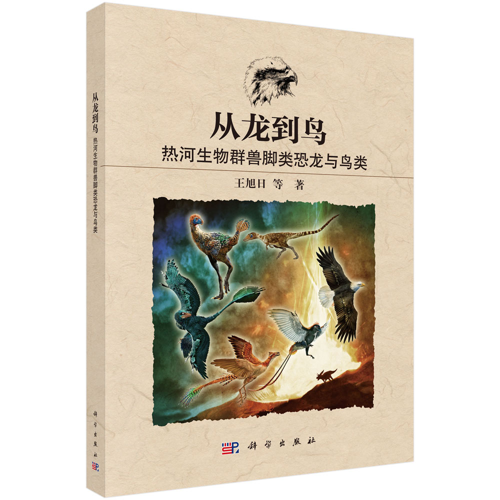 从龙到鸟：热河生物群兽脚类恐龙与鸟类