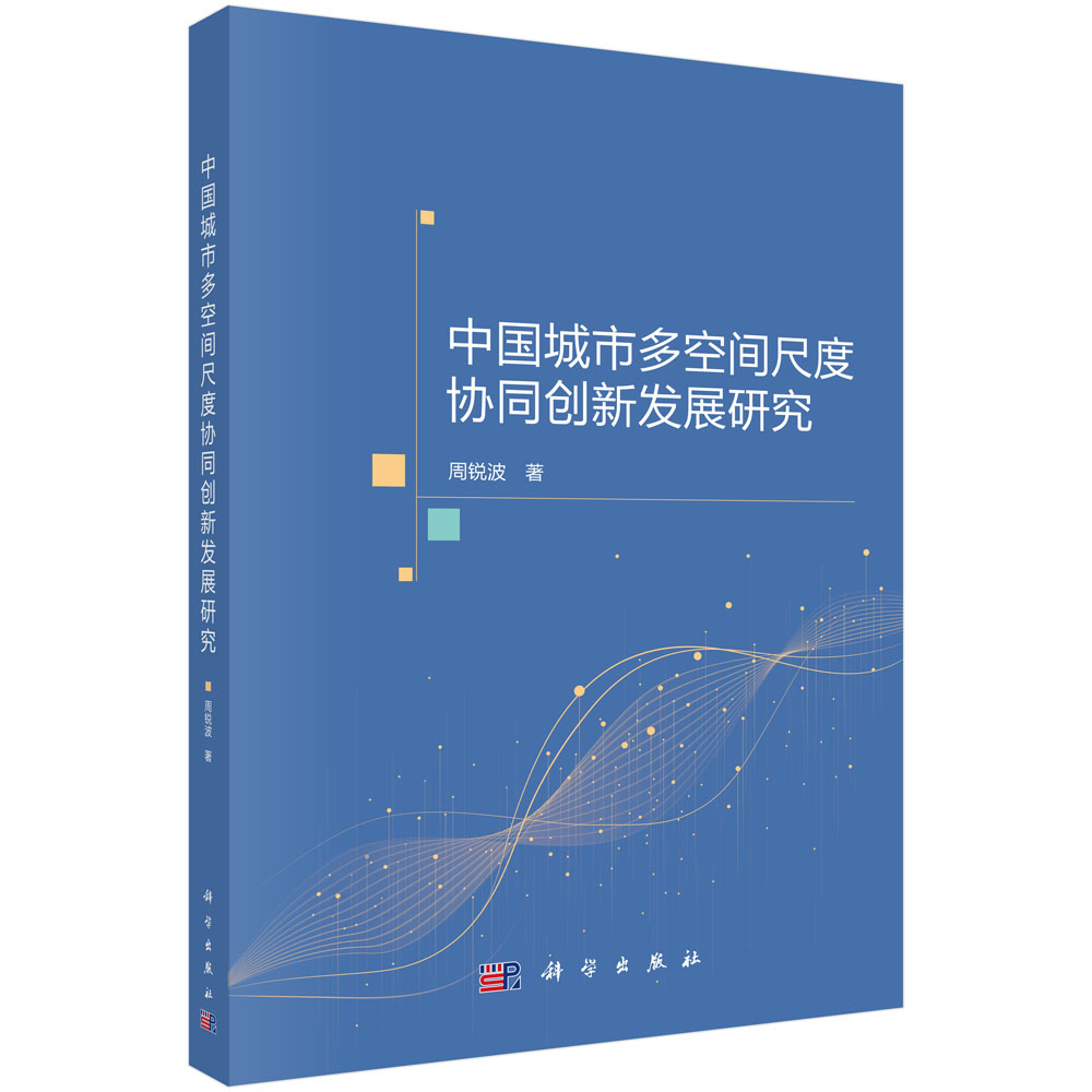 中国城市多空间尺度协同创新发展研究