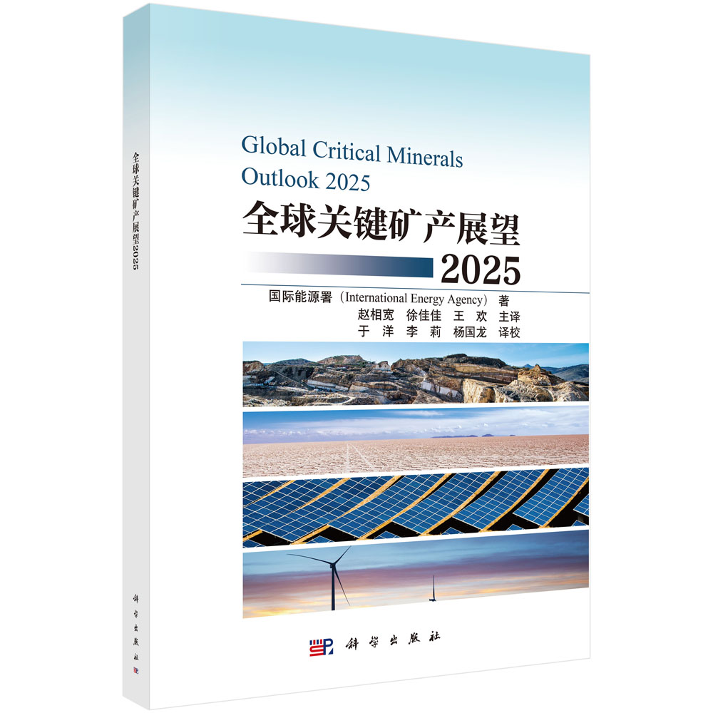 全球关键矿产展望2025