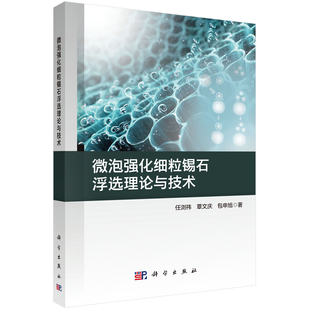 微泡强化细粒锡石浮选理论与技术