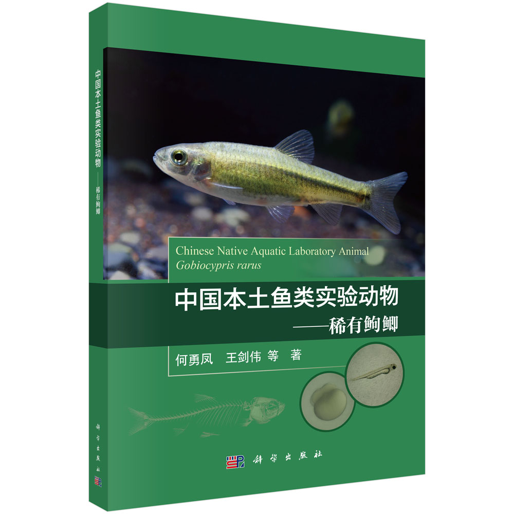 中国本土鱼类实验动物——稀有？？鲫