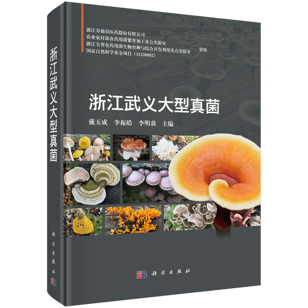 浙江武义大型真菌