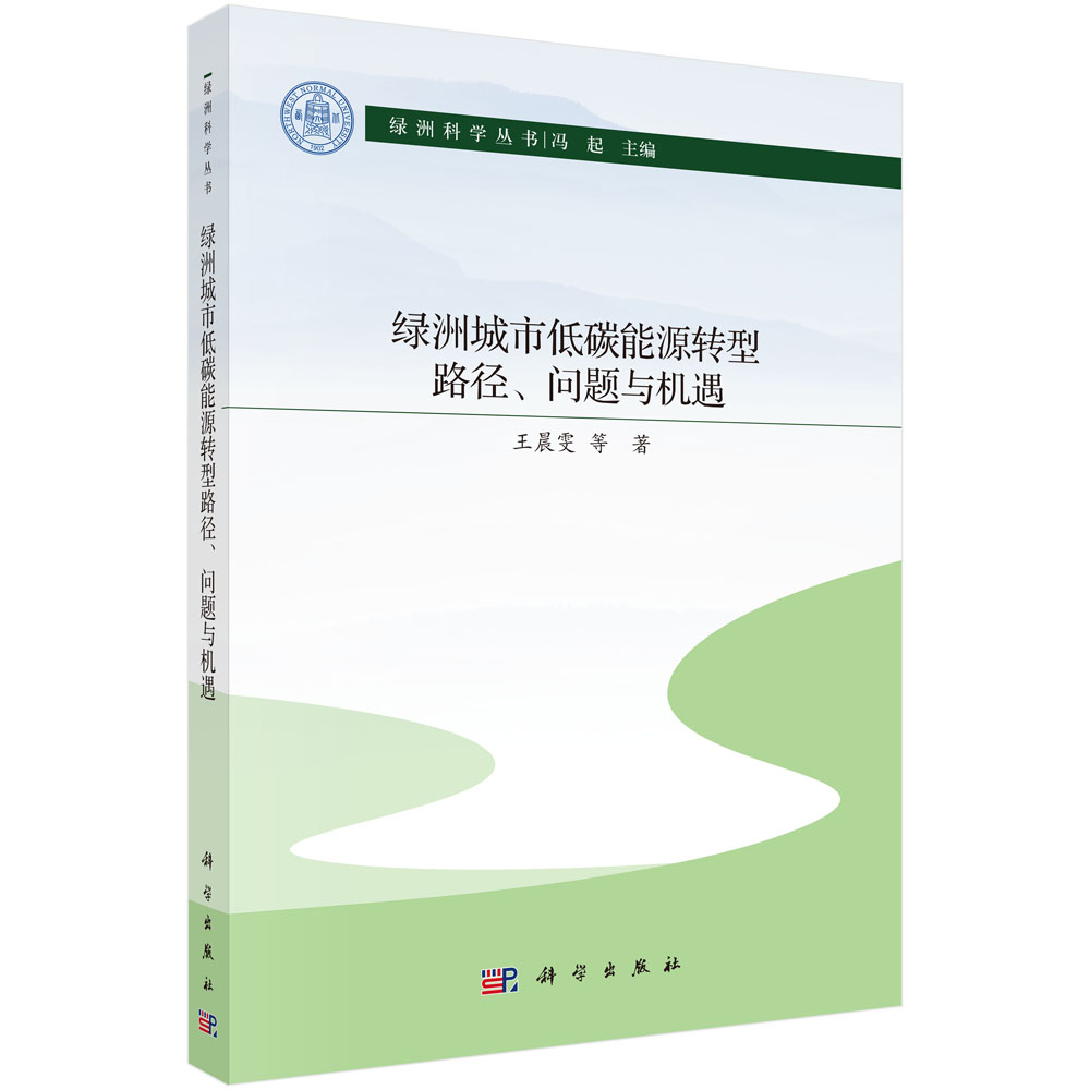 绿洲城市低碳能源转型路径、问题与机遇