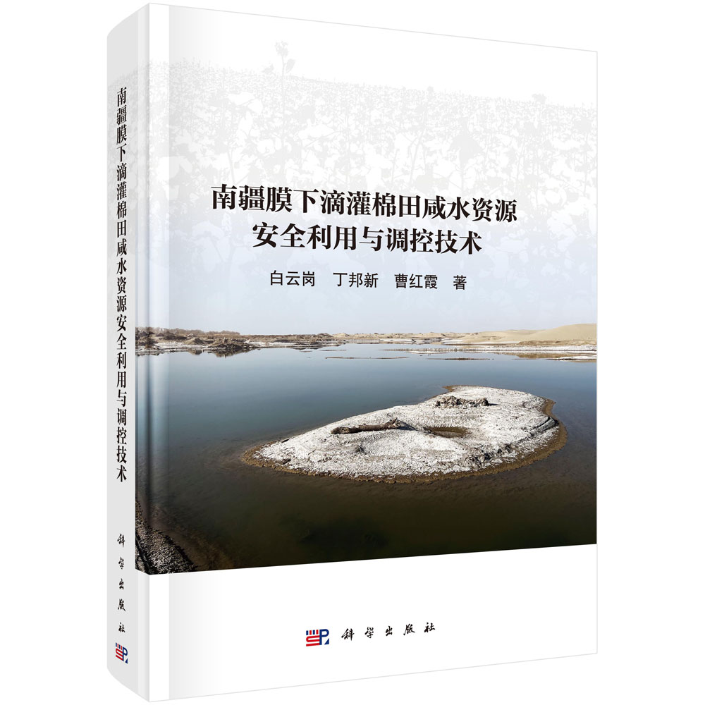 南疆膜下滴灌棉田咸水资源安全利用与调控技术
