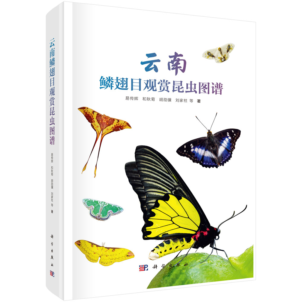 云南鳞翅目观赏昆虫图谱