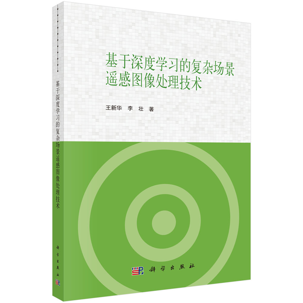 基于深度学习的复杂场景遥感图像处理技术