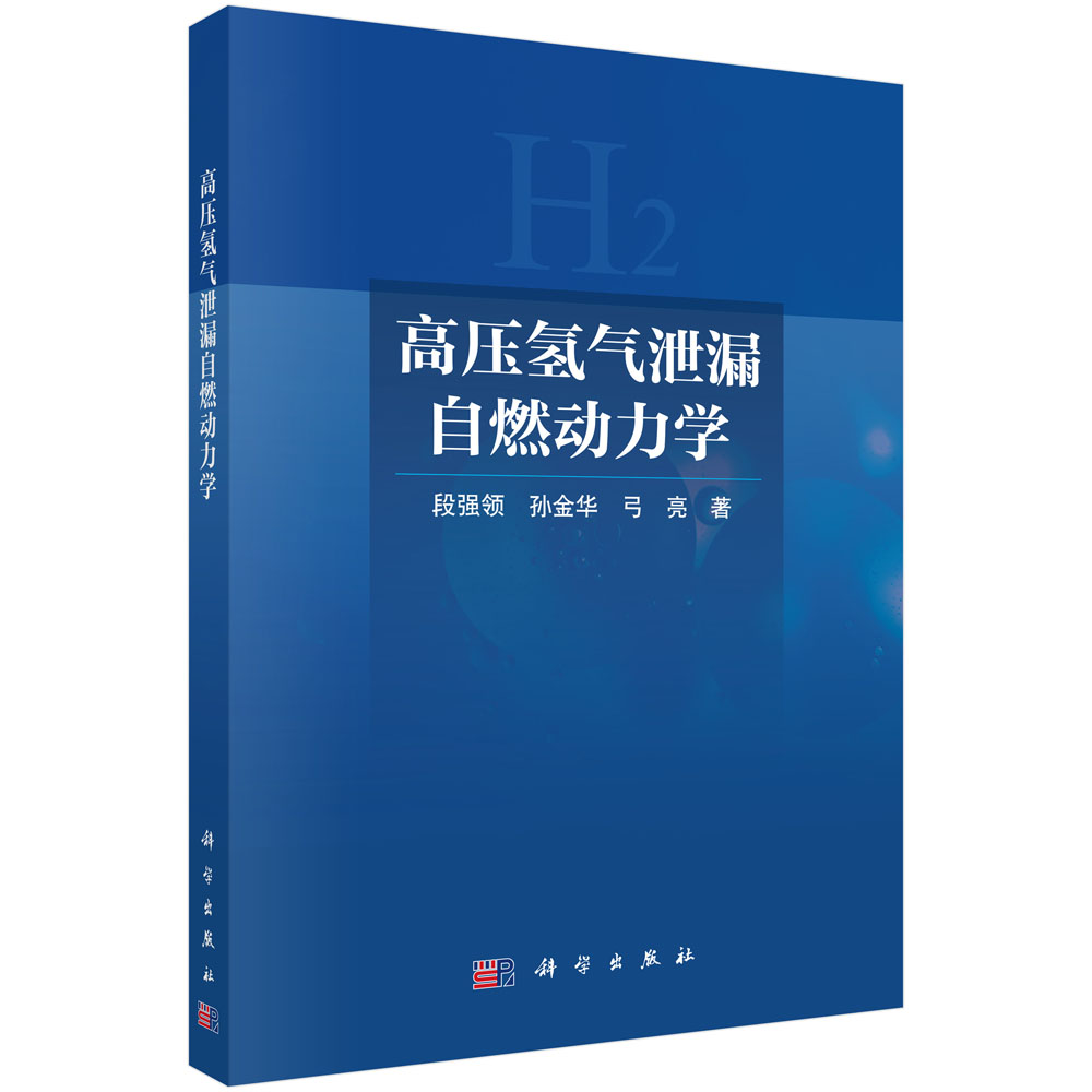 高压氢气泄漏自燃动力学