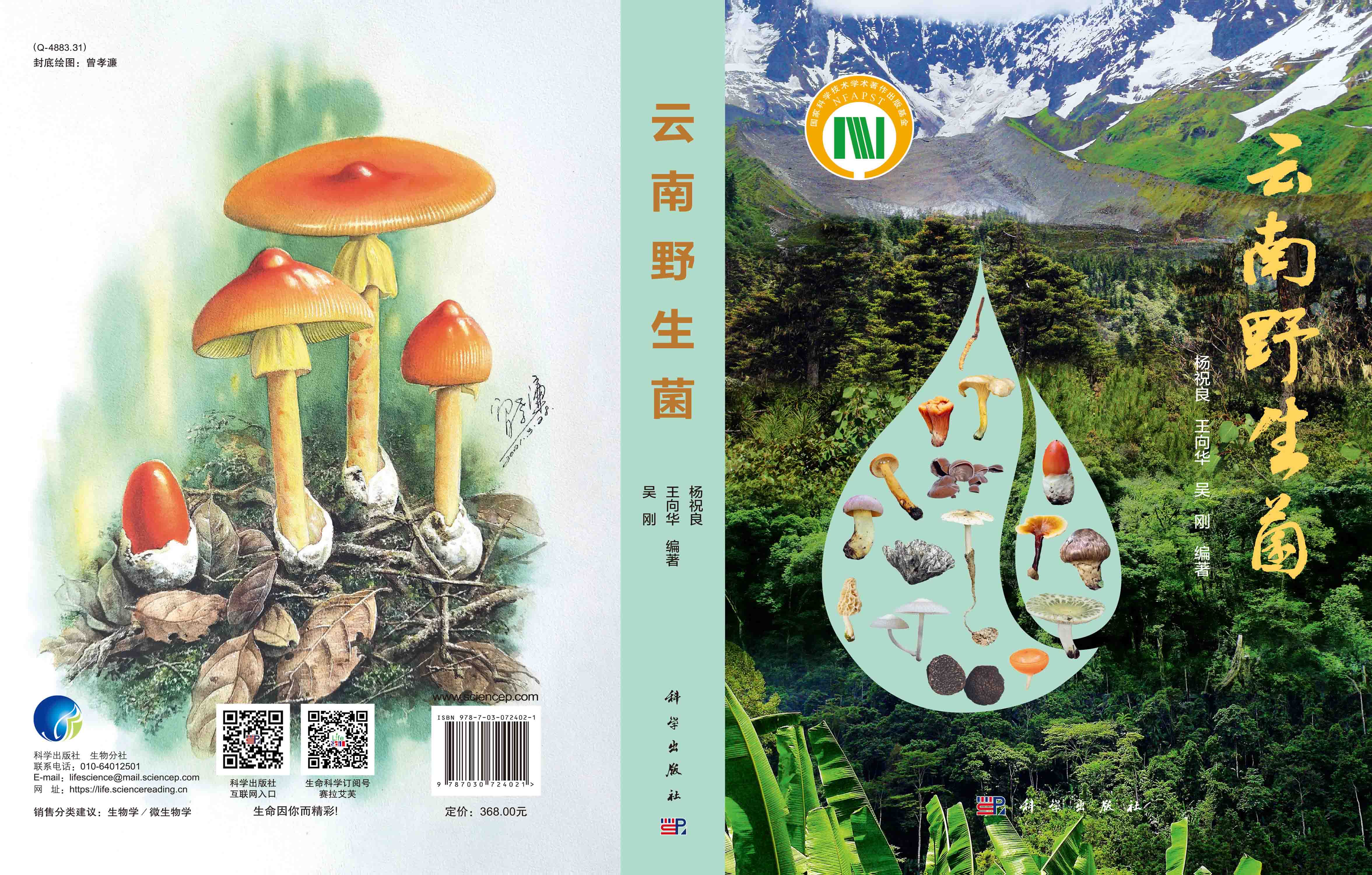 云南野生菌
