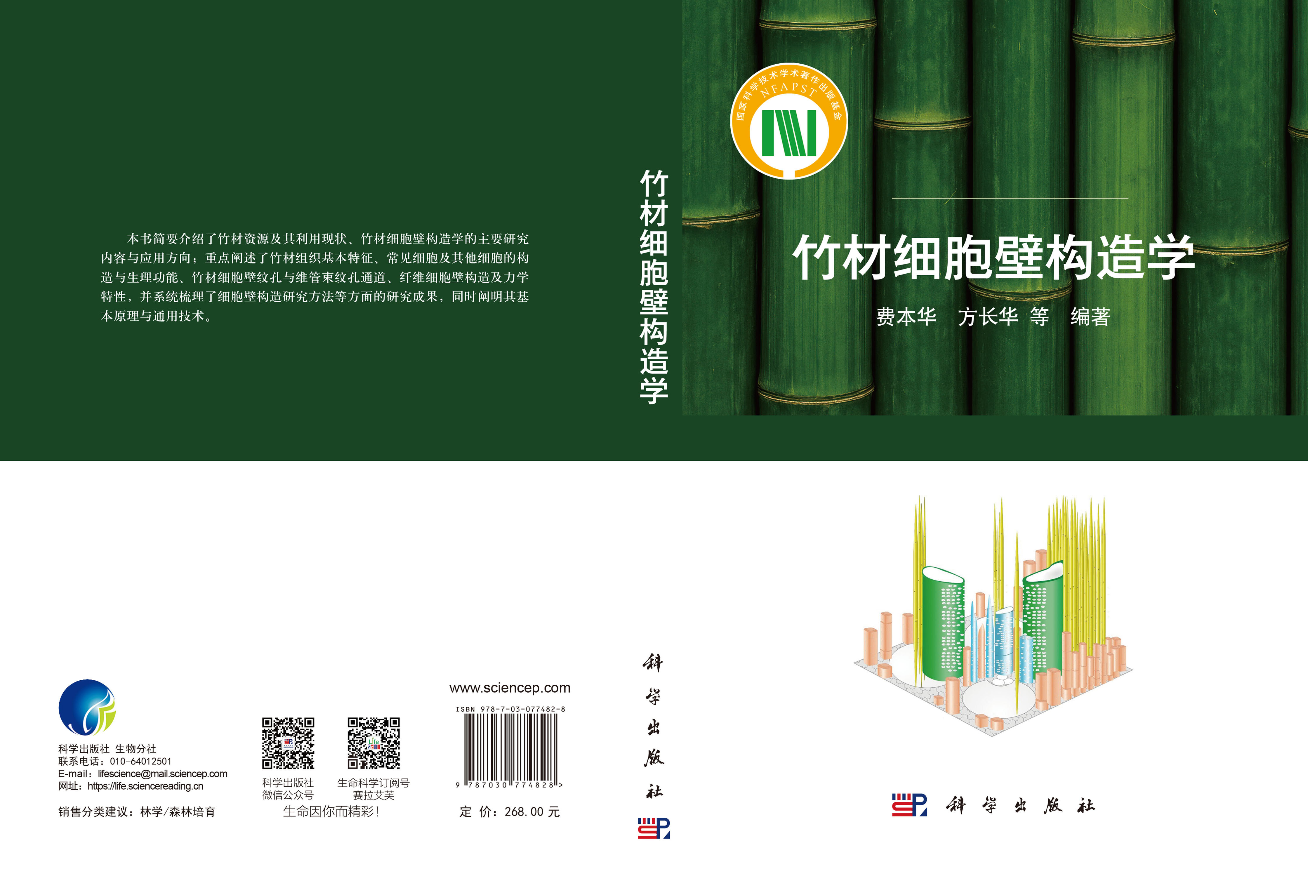 竹材细胞壁构造学